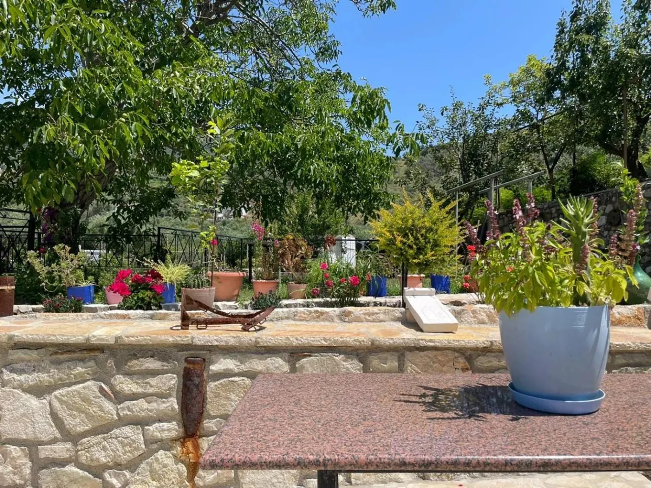 The garden terrace with potted plants, citrus trees and a stone wall